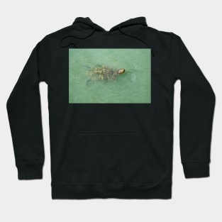 Red-Eared Slider Hoodie